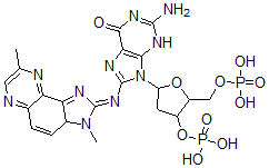 CAS#: 152432-43-4， [5-[2-Amino-8-[(3,8-Dimethyl-3aH-Imidazo[4,5-f]Quinoxalin-2-Ylidene)Amino]-6-Oxo-3H-Purin-9-Yl]-2-(Phosphonooxymethyl)Oxolan-3-Yl] Dihydrogen Phosphate
