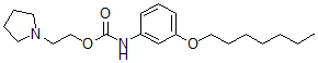 CAS#: 152676-77-2， 2-Pyrrolidin-1-Ylethyl N-(3-Heptoxyphenyl)Carbamate