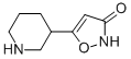 CAS#: 153745-69-8， 5-(3-Piperidinyl)-3(2H)-Isoxazolone