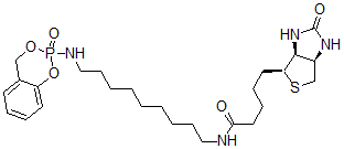 CAS#: 158040-84-7， 5-[(3aR,6S,6aS)-2-Oxo-1,3,3a,4,6,6a-Hexahydrothieno[3,4-d]Imidazol-6-Yl]-N-[9-[(8-Oxo-7,9-Dioxa-8-Phosphabicyclo[4.4.0]Deca-1,3,5-Trien-8-Yl)Amino]Nonyl]Pentanamide