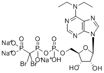 CAS#: 160928-38-1， N,N-Diethyl-5'-Adenylicacid 5'-Anhydride With P,P'-(Dibromomethylene)Bis[Phosphonic Acid]