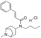 CAS#: 171261-31-7， (E)-N-Butyl-N-(8-Methyl-8-Azabicyclo[3.2.1]Octan-3-Yl)-3-Phenylprop-2-Enamide Hydrochloride