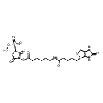 CAS 登录号：191671-46-2， 钠2,5-二氧代-1-[(6-{[5-(2-氧代六氢-1H-噻吩并[3,4-d]咪唑-4-基)戊酰]氨基}己酰)氧基]-3-吡咯烷磺酸酯