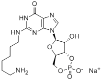 CAS#: 205368-58-7， N-(6-Aminohexyl)-Guanosine Cyclic 3',5'-(Hydrogen Phosphate)