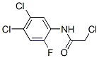 CAS#: 23554-66-7， 2'-Fluoro-2,4',5'-Trichloroacetanilide