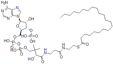 CAS#: 24330-89-0， Behenyl-Coenzyme A