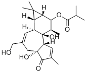 CAS#: 25090-74-8， 12-Deoxyphorbol 13-Isobutyrate