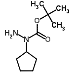 CAS#: 259870-74-1， 2-Methyl-2-Propanyl 1-Cyclopentylhydrazinecarboxylate