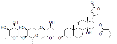CAS#: 26184-94-1， 3beta-[[4-O-[4-O-(2,6-Dideoxy-beta-D-Ribo-Hexopyranosyl)-2,6-Dideoxy-beta-D-Ribo-Hexopyranosyl]-2,6-Dideoxy-beta-D-Ribo-Hexopyranosyl]Oxy]-14-Hydroxy-16beta-(3-Methyl-1-Oxobutoxy)-5beta-Card-20(22)-Enolide