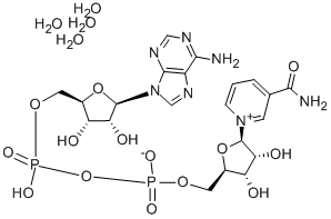 CAS#: 282730-13-6， beta-Nicotinamide Adenine Dinucleotide Tetrahydrate