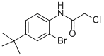 CAS#: 287923-75-5， N1-[2-Bromo-4-(Tert-Butyl)Phenyl]-2-Chloroacetamide