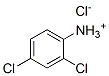 CAS#: 29084-76-2， 2,4-Dichloroaniline hydrochloride