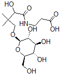 CAS 登录号:29588-37-2, D-泛酸 4'-O-beta-葡糖苷