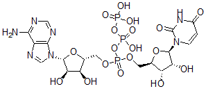 CAS#: 30632-06-5， [(2R,3S,4R,5R)-5-(6-Aminopurin-9-Yl)-3,4-Dihydroxyoxolan-2-Yl]Methyl [(2R,3S,4R,5R)-5-(2,4-Dioxopyrimidin-1-Yl)-3,4-Dihydroxyoxolan-2-Yl]Methyl (Hydroxy-Phosphonooxyphosphoryl) Phosphate