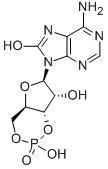CAS#: 31356-95-3， 7,8-Dihydro-8-Oxoadenosine-3',5'-Cyclic Monophosphate