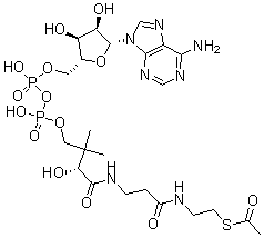 CAS#: 31664-34-3， Acetyl-dephospho-coenzyme A