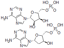 CAS 登录号：32070-56-7， 2'-脱氧-5'-腺苷酸5'-腺苷酸聚合物
