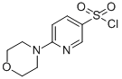 structure of CAS# 337508-68-6, 6-Morpholin-4-Yl-Pyridine-3-Sulfonyl Chloride;3-(Chlorosulphonyl)-6-(Morpholin-4-Yl)Pyridine;6-MORPHOLIN-4-YL-PYRIDINE-3-SULFONYL CHLORIDE;6-Morpholin-4-Ylpyridine-3-Sulphonyl Chloride