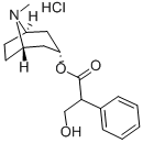 CAS#: 33952-38-4， (8-Methyl-8-Azabicyclo[3.2.1]Octan-3-Yl) 3-Hydroxy-2-Phenylpropanoate Hydrochloride