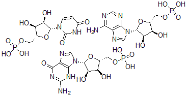 CAS#: 33960-30-4， 5'-Guanylic acid, polymer with 5'-adenylic acid and 5'-uridylic acid