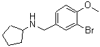 CAS#: 355815-73-5， N-(3-Bromo-4-Methoxybenzyl)Cyclopentanamine