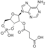 结构式 CAS# 36940-87-1, 2'-O-单丁二酰腺苷 3',5'-环单磷酸酯