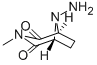 CAS#: 38074-20-3， 8-Amino-3-Methyl-3,8-Diazabicyclo(3.2.1)Octane-2,4-Dione