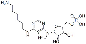 CAS#: 38198-98-0， [(2R,3S,4R,5R)-5-[6-(6-Aminohexylamino)Purin-9-Yl]-3,4-Dihydroxyoxolan-2-Yl]Methyl Dihydrogen Phosphate