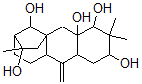 CAS#: 38302-26-0， (2S-(2alpha,4alpha,4abeta,5abeta,7beta,8beta,10aalpha,11alpha-alpha,12S*))-Dodecahydro-3,3,7-Trimethyl-11-Methylene-5a,8-Methano-5aH-Cyclohepta(b)Naphthalene-2,4,4a,7,12(5H)-Pentol