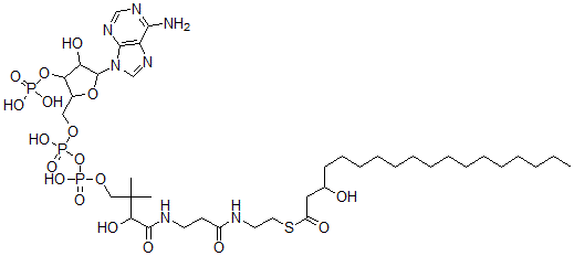 CAS#: 42578-91-6， 3-Hydroxyoctadecanoyl-Coenzyme A
