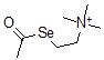 CAS#: 4468-06-8， 2-Acetylselanylethyl-Trimethyl-Azanium