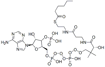 CAS#: 5060-32-2， [(2R,3R,4R,5R)-5-(6-Aminopurin-9-Yl)-2-[[[[3-[2-(2-Hexanoylsulfanylethylcarbamoyl)Ethylcarbamoyl]-3-Hydroxy-2,2-Dimethyl-Propoxy]-Hydroxy-Phosphoryl]Oxy-Hydroxy-Phosphoryl]Oxymethyl]-4-Hydroxy-Oxolan-3-Yl]Oxyphosphonic Acid