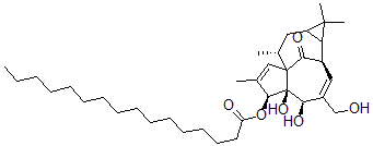 CAS#: 52557-26-3， Palmitic Acid (1aR)-1aalpha,2beta,5,5a,6,9,10,10aalpha-Octahydro-5beta,5abeta-Dihydroxy-4-Hydroxymethyl-1,1,7,9alpha-Tetramethyl-11-Oxo-1H-2alpha,8aalpha-Methanocyclopenta[a]Cyclopropa[e]Cyclodecen-6beta-Yl Ester