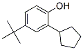 CAS#: 52762-67-1， 2-Cyclopentyl-4-(1,1-Dimethylethyl)-Phenol