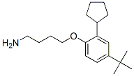 CAS#: 52762-69-3， 4-[4-(Tert-Butyl)-2-Cyclopentylphenoxy]Butylamine