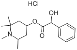 structure of CAS# 536-93-6, Eucatropine Hydrochloride;(1,2,2,6-Tetramethyl-4-Piperidyl) 2-Hydroxy-2-Phenyl-Acetate Hydrochloride;2-Hydroxy-2-Phenylacetic Acid (1,2,2,6-Tetramethyl-4-Piperidinyl) Ester Hydrochloride;2-Hydroxy-2-Phenyl-Acetic Acid (1,2,2,6-Tetramethyl-4-Piperidyl) Ester Hydrochloride