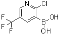 structure of CAS# 536693-96-6, 2-Chloro-5-(Trifluoromethyl)Pyridine-3-Boronic Acid;Boronic Acid, [2-Chloro-5-(Trifluoromethyl)-3-Pyridinyl]- (9CI);2-Chloro-5-(Trifluoromethyl)Pyridin-3-Yl-3-Boronic Acid;2-Chloro-5-(Trifluoromethyl)Pyridine-3-Boronic Acid