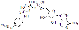 CAS#: 54687-13-7， Adenosine triphosphate gamma-4-azidoanilide