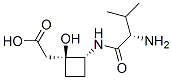 CAS#: 55051-90-6， (1S,2R)-2-[[(S)-2-Amino-3-Methyl-1-Oxobutyl]Amino]-1-Hydroxycyclobutaneacetic Acid