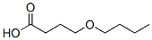 CAS#: 55724-73-7， 4-Butoxy-Butanoicacid