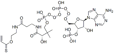 CAS 登录号：5776-58-9， S-[2-[3-[[4-[[[(2R,3S,4R,5R)-5-(6-氨基嘌呤-9-基)-4-羟基-3-膦酰氧基四氢呋喃-2-基]甲氧基-羟基磷酰]氧基-羟基磷酰]氧基-2-羟基-3,3-二甲基丁酰基]氨基]丙酰氨基]乙基]硫代丙-2-烯酸