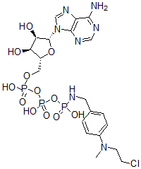 CAS#: 57835-10-6， Adenosine triphosphate-gamma-4-(N-2-chloroethyl-N-methylamino)benzylamidate