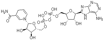 CAS#: 58-68-4， Dihydronicotinamide-Adenine Dinucleotide