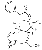 CAS#: 58821-98-0， 12-Deoxyphorbol 13-Phenylacetate