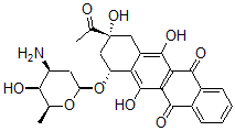 CAS#: 58957-93-0， (7S-cis)-9-Acetyl-7-((3-Amino-2,3,6-Trideoxy-beta-L-Lyxo-Hexopyranosyl)Oxy)-7,8,9,10-Tetrahydro-6,9,11-Trihydroxy-5,12-Naphthacenedione