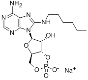 CAS#: 59212-44-1， 8-(Hexylamino)-Adenosine Cyclic 3',5'-(Hydrogen Phosphate)