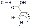 CAS#: 5937-74-6， (1R)-8-Methyl-8-Azabicyclo[3.2.1]Oct-3-Ene-2-Carboxylic Acid Hydrochloride