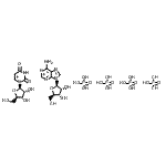CAS#: 61070-25-5， Adenosine triphosphate-uridine monophosphate