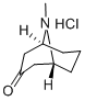 structure of CAS# 6164-62-1, Pseudopelletierine Hydrochloride;Zinc04098911;Zinc04098912