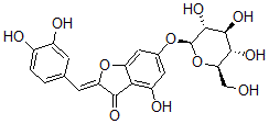 CAS#: 633-15-8， 2-[(Z)-(3,4-Dihydroxyphenyl)Methylene]-4-Hydroxy-6-(beta-D-Glucopyranosyloxy)-3(2H)-Benzofuranone